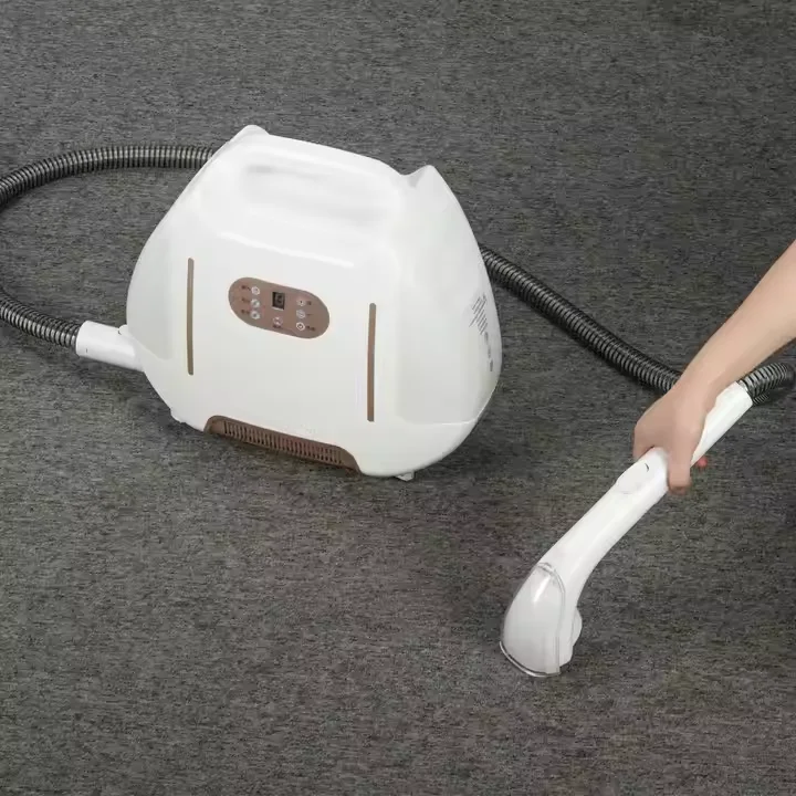 Household Electric Multi-functional Adjustable Wet and Dry Handheld Steam Cleaner with Fast Heating and Continuous Dust Removal