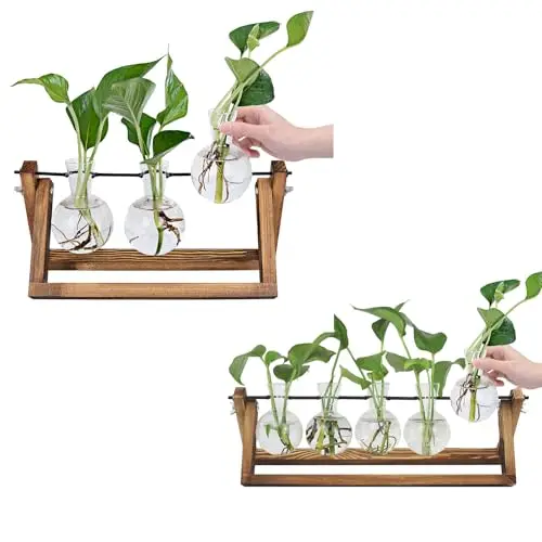 

Wooden Hydroponic Plant Propagation Kit With 3 And 5 Glass Bulb Vases For Indoor Decor