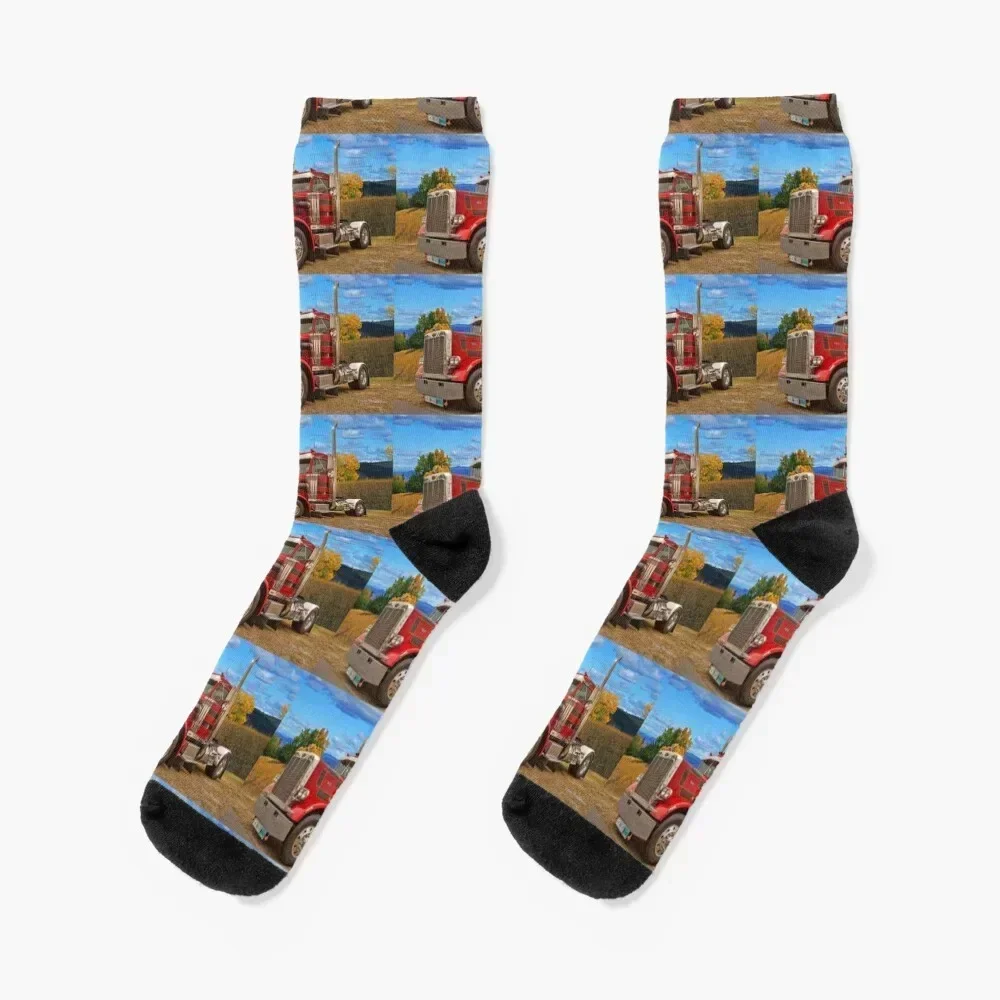 

Single Axle Peterbilt Socks cycling happy Stockings compression hip hop Girl'S Socks Men's