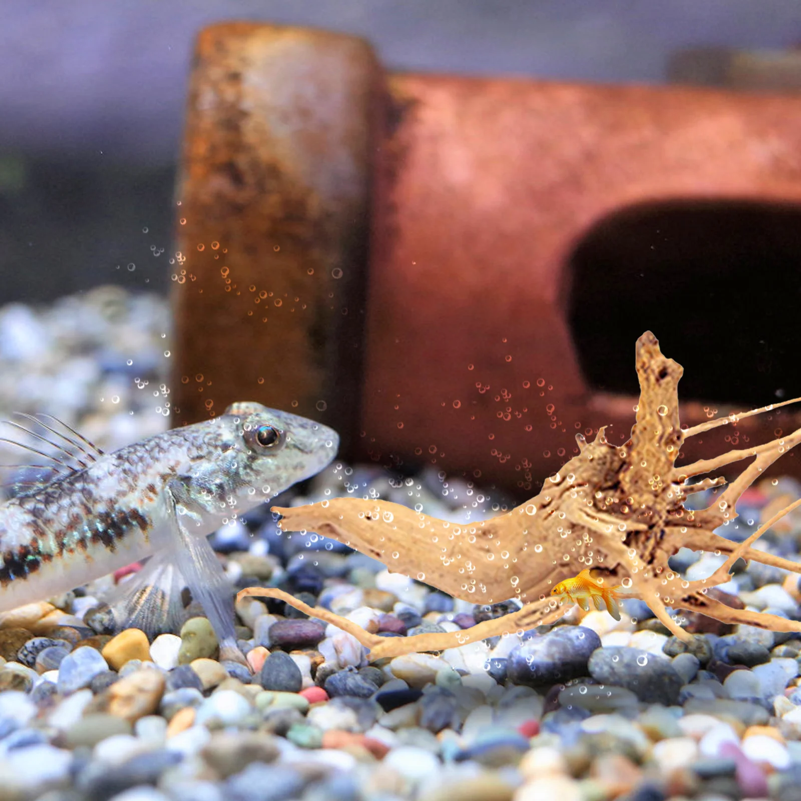 

Driftwood for Freshwater Aquarium 30 35cm Natural Fish Tank Decoration Branch Handpicked Wood Random Shape Included