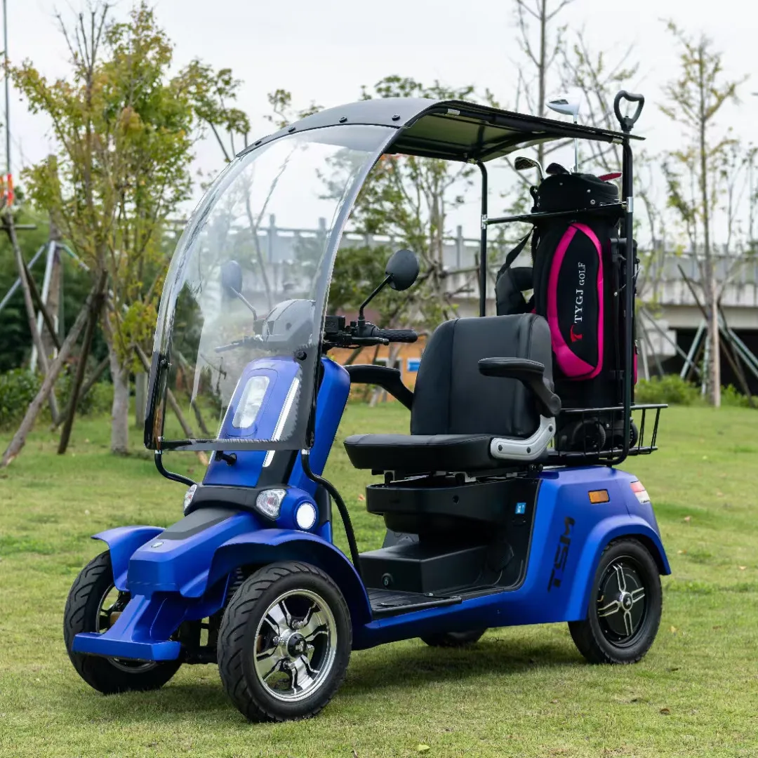 4 seater golf cart with gas or electric power