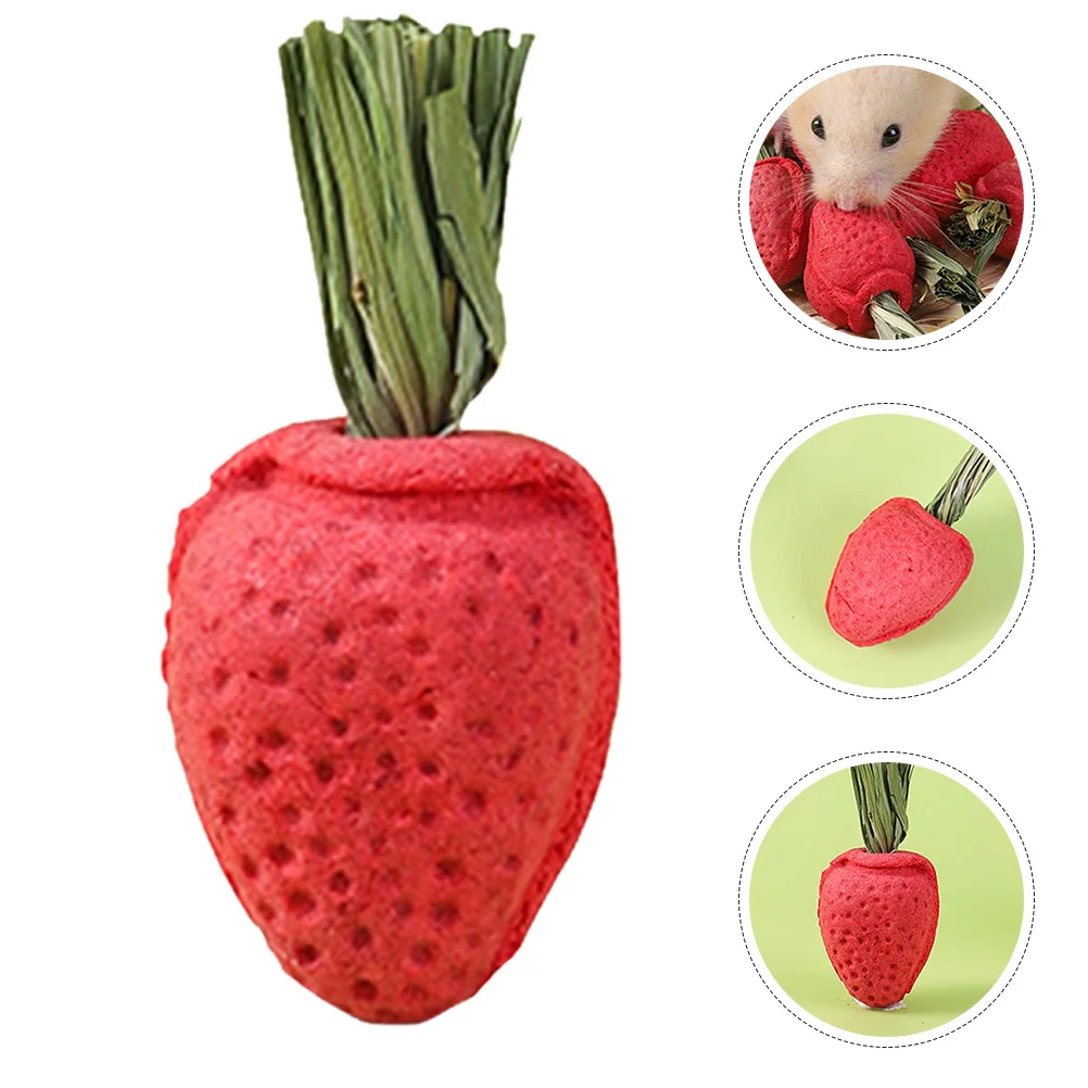 3 Pcs Chinchilla Hamster Teething Toy Guinea Pig Toys Parrots Chew Hay Rabbit Strawberry Molar