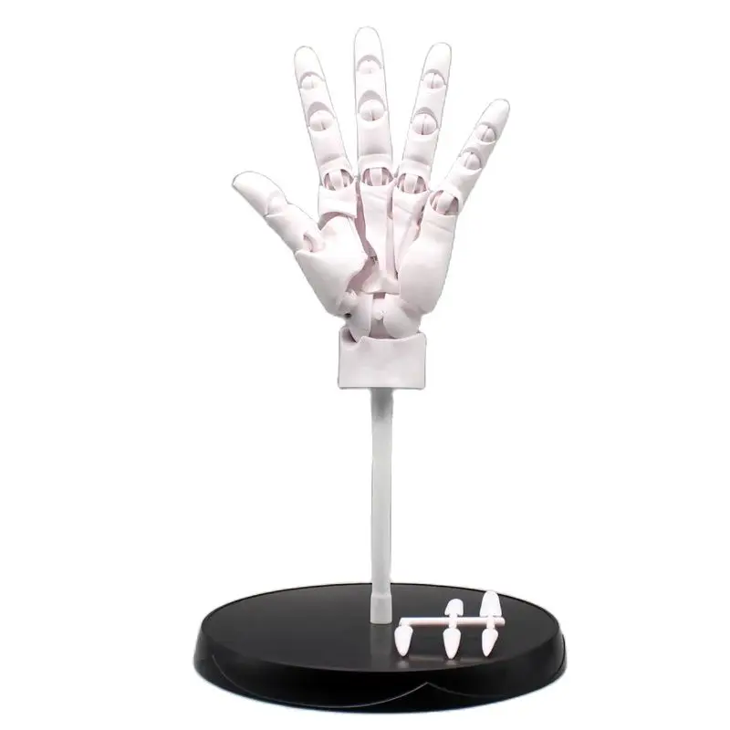 

TAKARA TOMY Hand Model Finger Joints Movable 1:1 simulation Palm Animation Figure 14.5" Ornament, Art Student Drawing Decoration