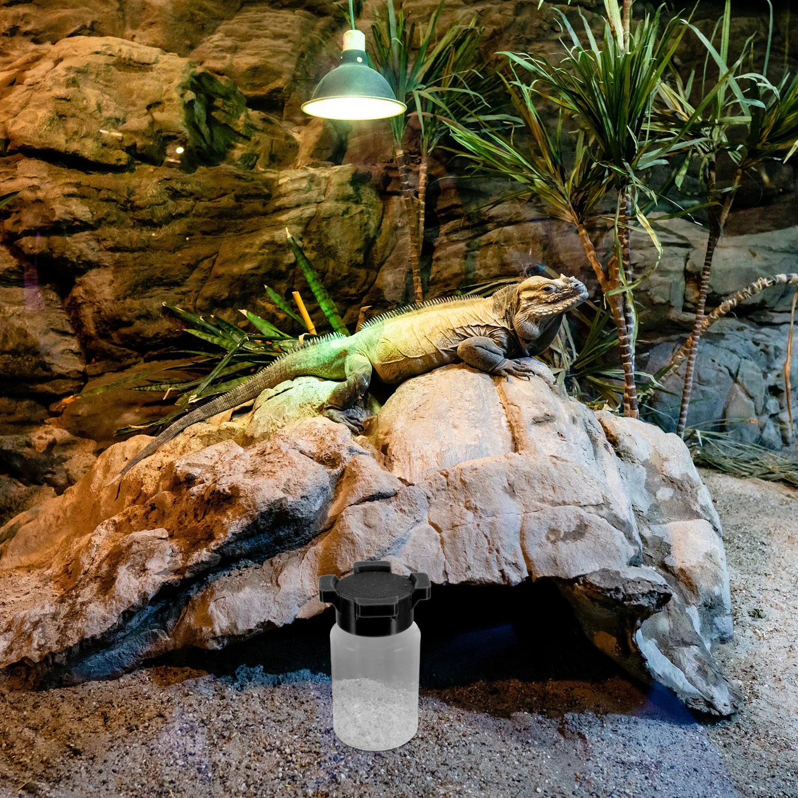 

Spider Ants Water Feeder: 3D Multi-Port Hydration Tray For Reptiles Insects Pets Pp Drinking Station For Crickets Lizards