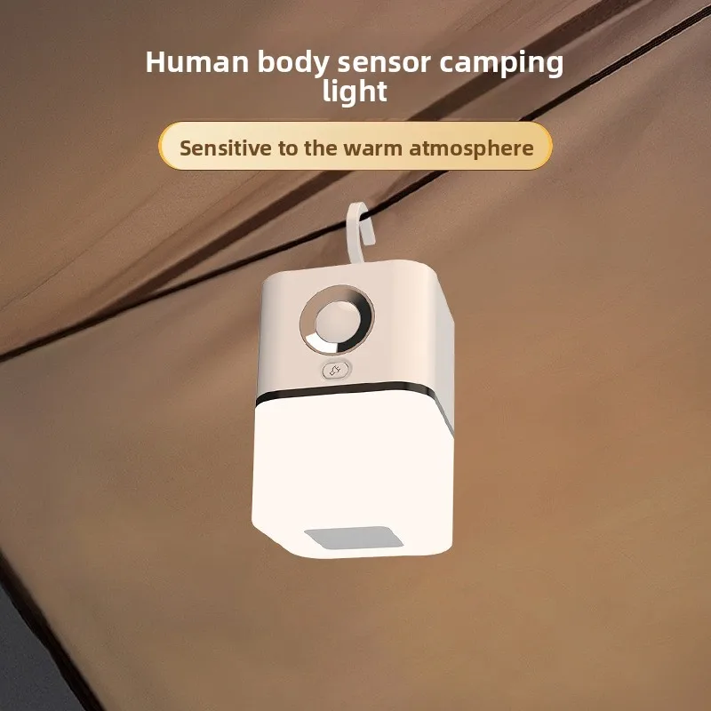 Best-selling Charging Hanging Motion Sensor Night Light, Dual-use Charger and Plug, Automatic on When People Approach,