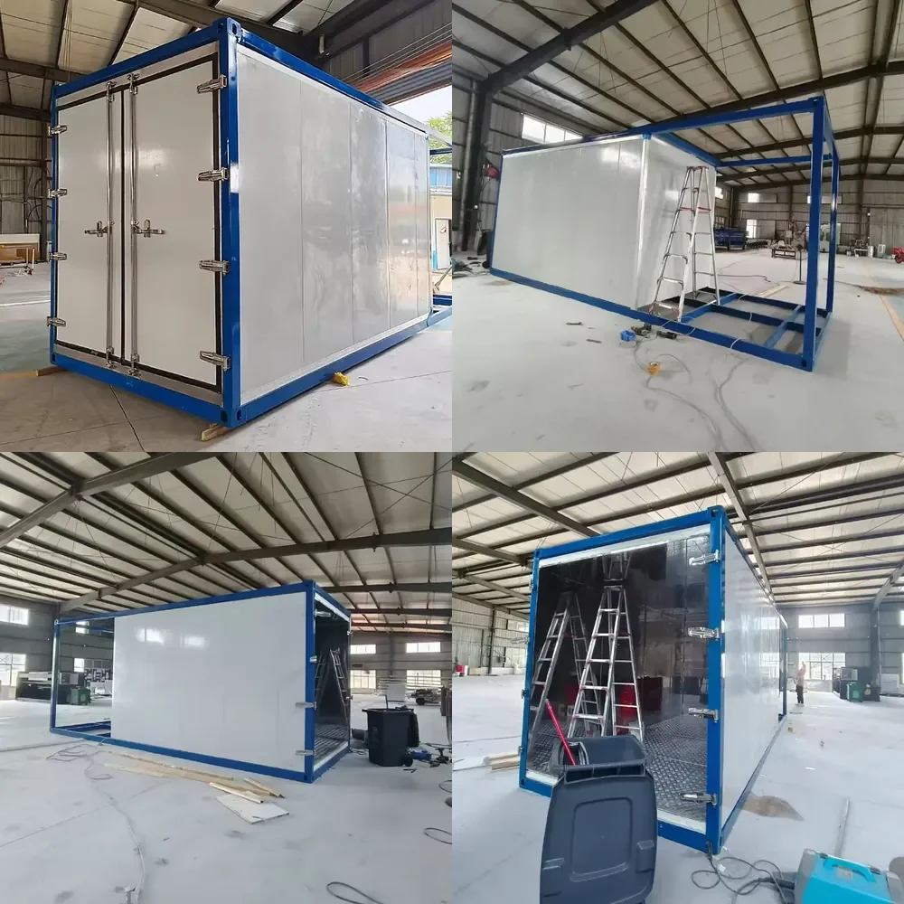 Customized Size Reefer Container Ice Deep Freezer Transport Cooler Refrigerator Refrigerated Cargo Box for Truck