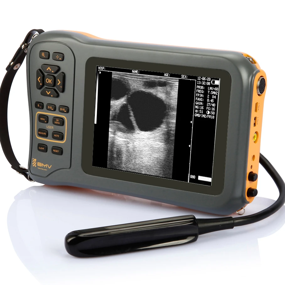 

Farmscan L60 Veterinary machine cheap vet portable ultrasound used for animal pregnancy scanning