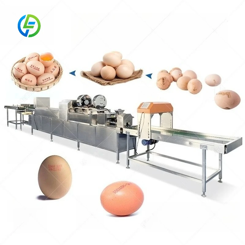 FL Customized Egg Cleaning Washing Machine With Conveyor Automatic Egg Washing Line High‑efficiency Chicken Egg Washer Device