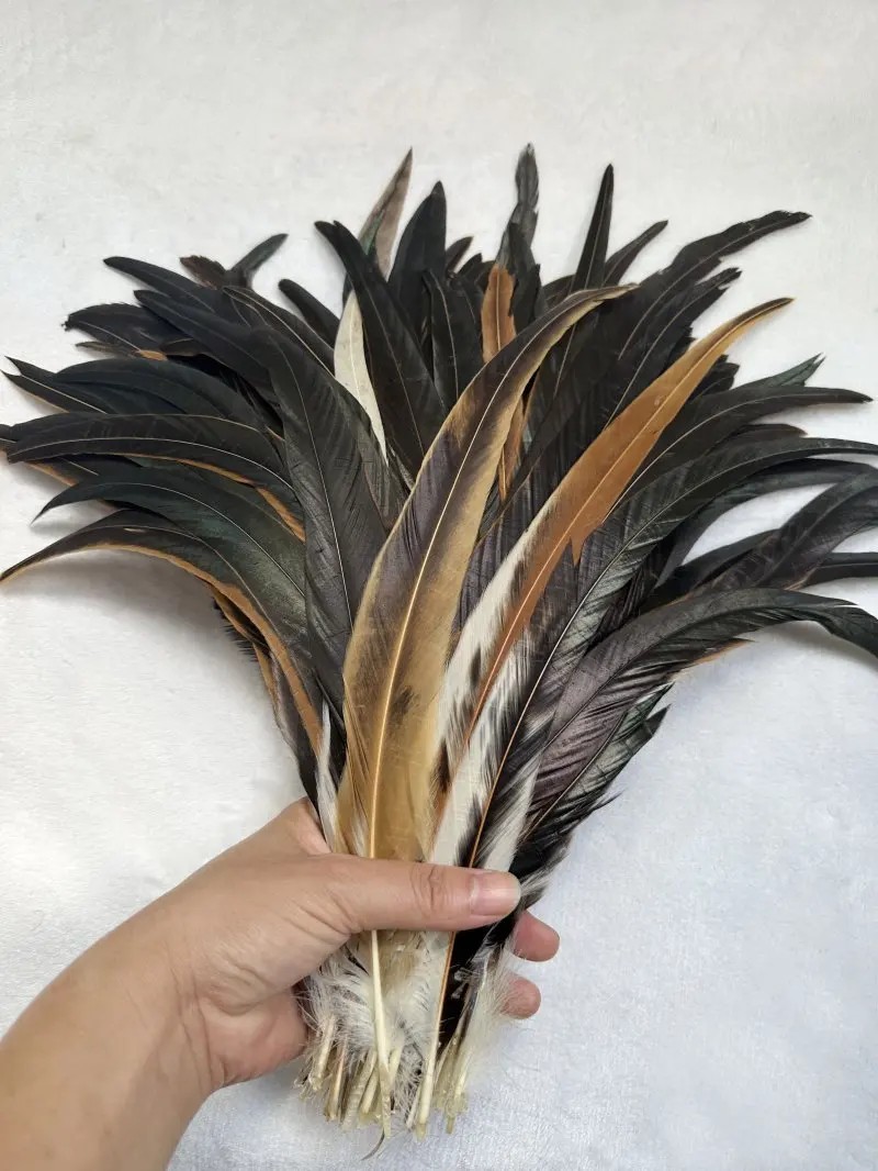 Rooster Tail Feather Natural Brown Colors DIY Clothing  Jewelry Accessories Wedding Party Carfs Supplies Performance