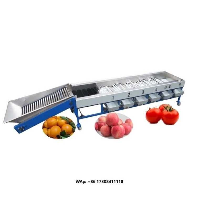 Sorting Machine Oval and Round Shape Fruits Size Grading Machine in Vegetable Deep Processing Line