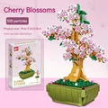 Cherry Blossoms