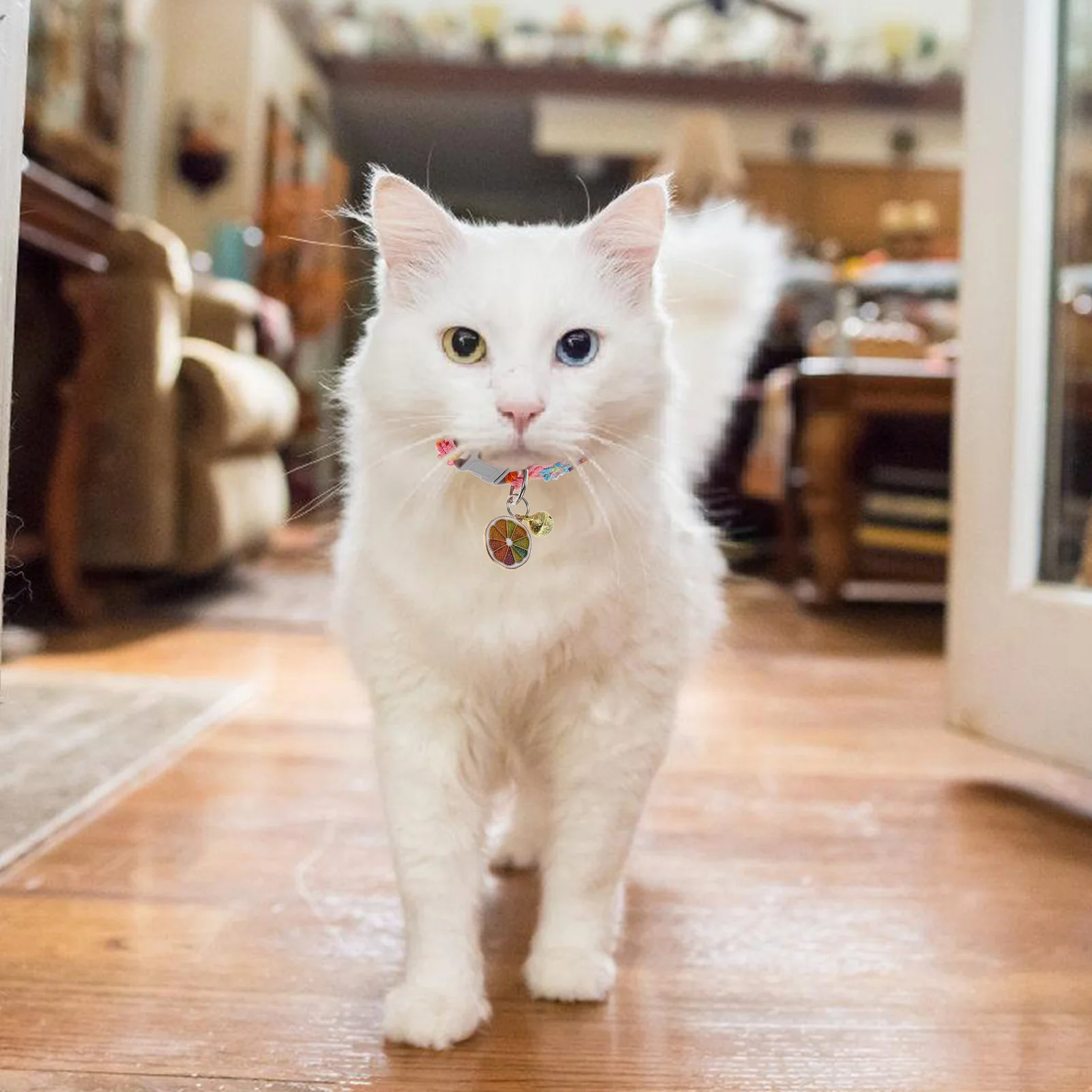 

Pet Cat Dog Collar Adjustable Kitten nament Elastic Polyester Bright Colors Non Fading Comfortable Skin Friendly Easy Clean