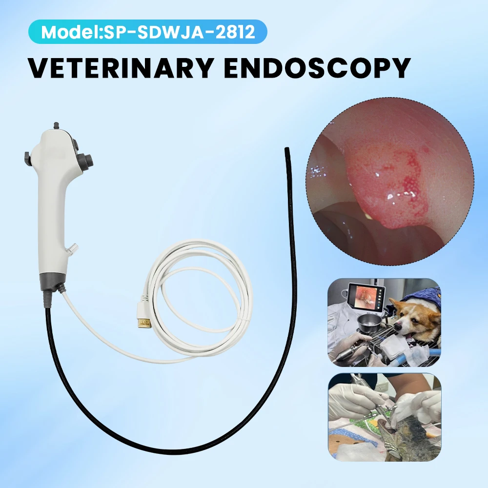 

2,8-миллиметровая ЛОР-ветеринарная эндоскопическая камера, многофункциональная гибкая урологическая эндоскопия для маленьких животных, домашних животных, кошек, собак