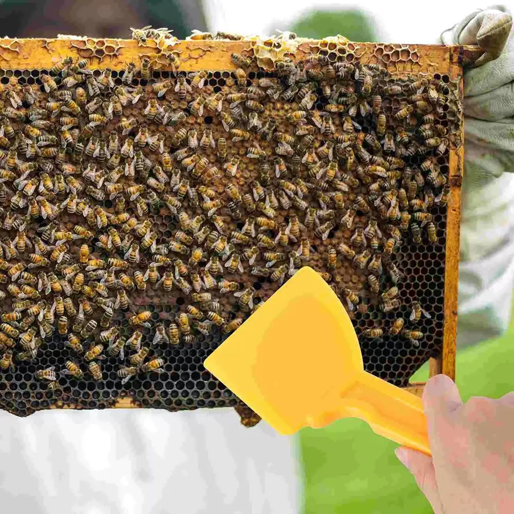 

ABMR-Honey Spatula Honey Extractor Honey Scraper Collecting Tool Practical Beekeeping Tool Beekeeping Supplies For Beekeeper