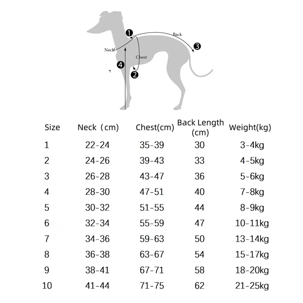 Traje verano 4 patas perro transpirable secado rápido Whippets Galgos - imagen 2
