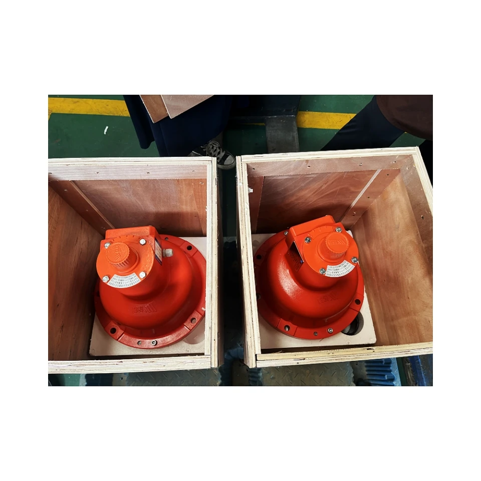 Safety Device SAJ30-1.2 SAJ40-1.2 SAJ50-1.2 for Construction Hoist Passenger Hoist