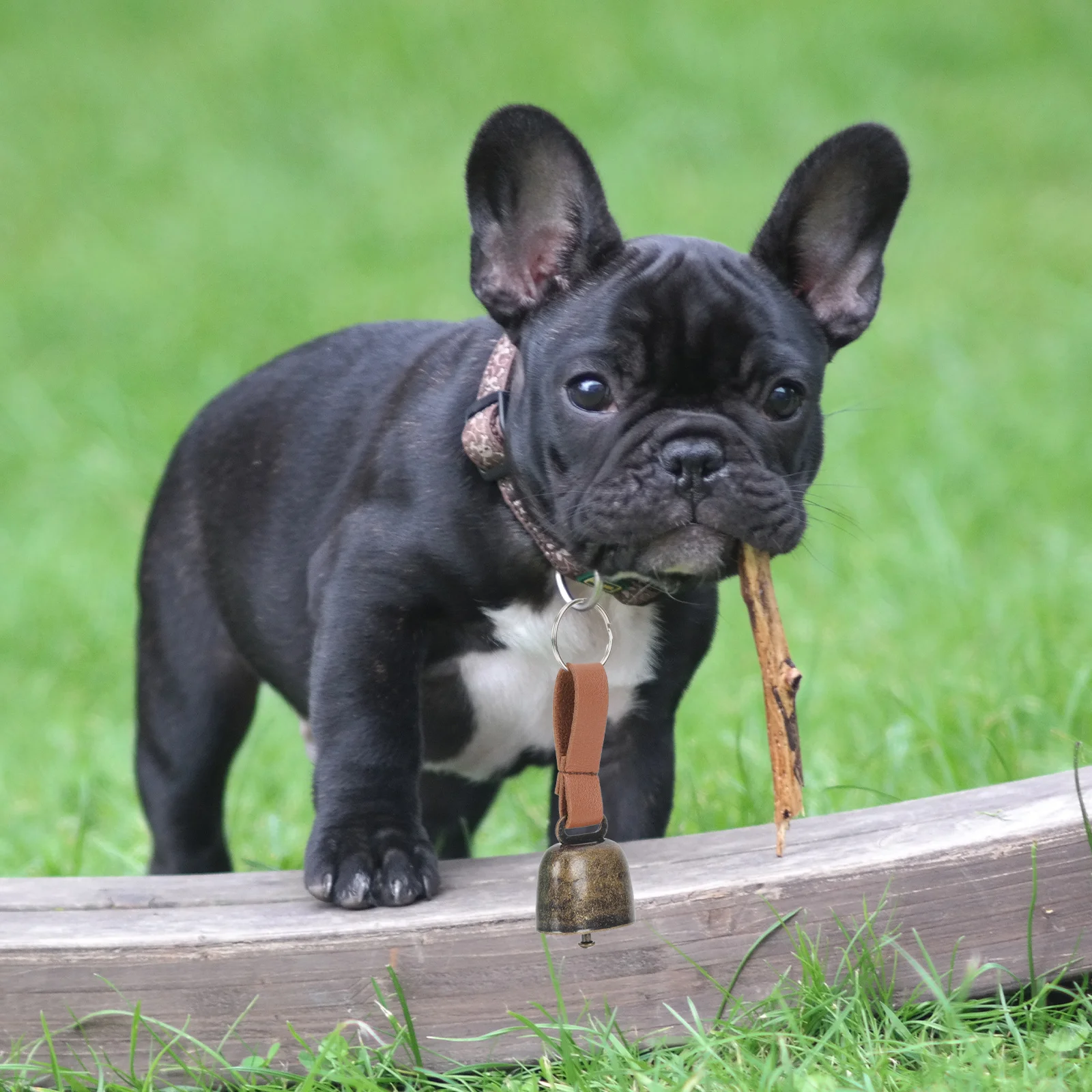 Bear Drive Bell Cowbell Christmas Giant Rattle Bells Cast Iron Collar Charms Small Puppy Pet Super Loud