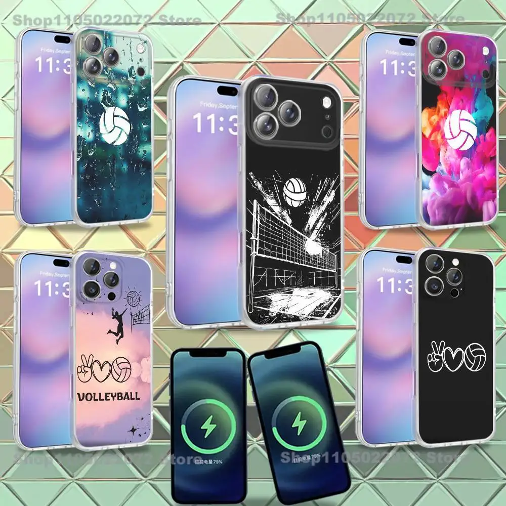 

Painted Art Volleyball Phone Case For iPhone 16,14,11,17,13,15,12,Air,Plus,Pro,Max,E,Mini Frosted for MagSafe Magnetic Wireless