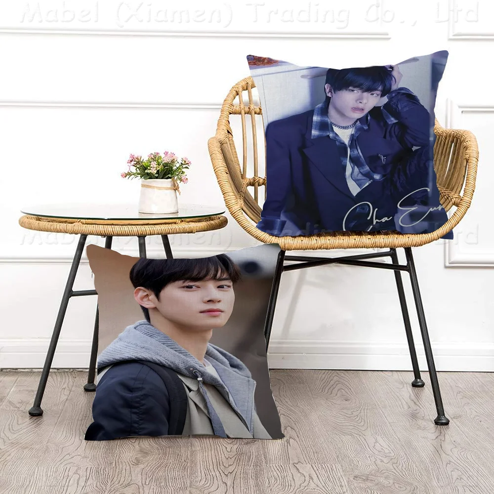 Cha-EunWoo Decorative Room Aesthetics Pillow Case Home Decor Bedroom Sofa Bed Couch Pillow Cover 45x45