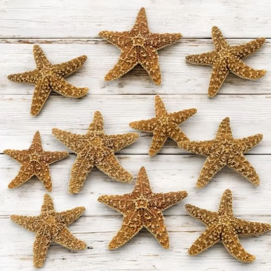 

Декоративные морские звезды для дома - 4-6 дюймов, большие, для поделок, декора пляжного дома, рождественских украшений и морского декора