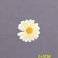 PE6307CT