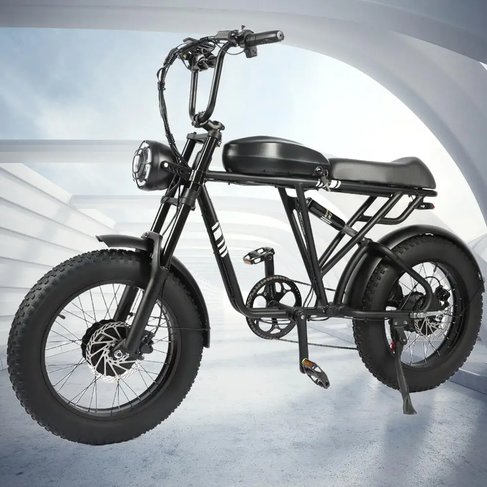 

Mini Fat Tire Mountain Electric Motorcycles Bike For Adults, 48V 20AH Ebikes 1000W+1000W Motor, 20'' Tires Electric Bicycles