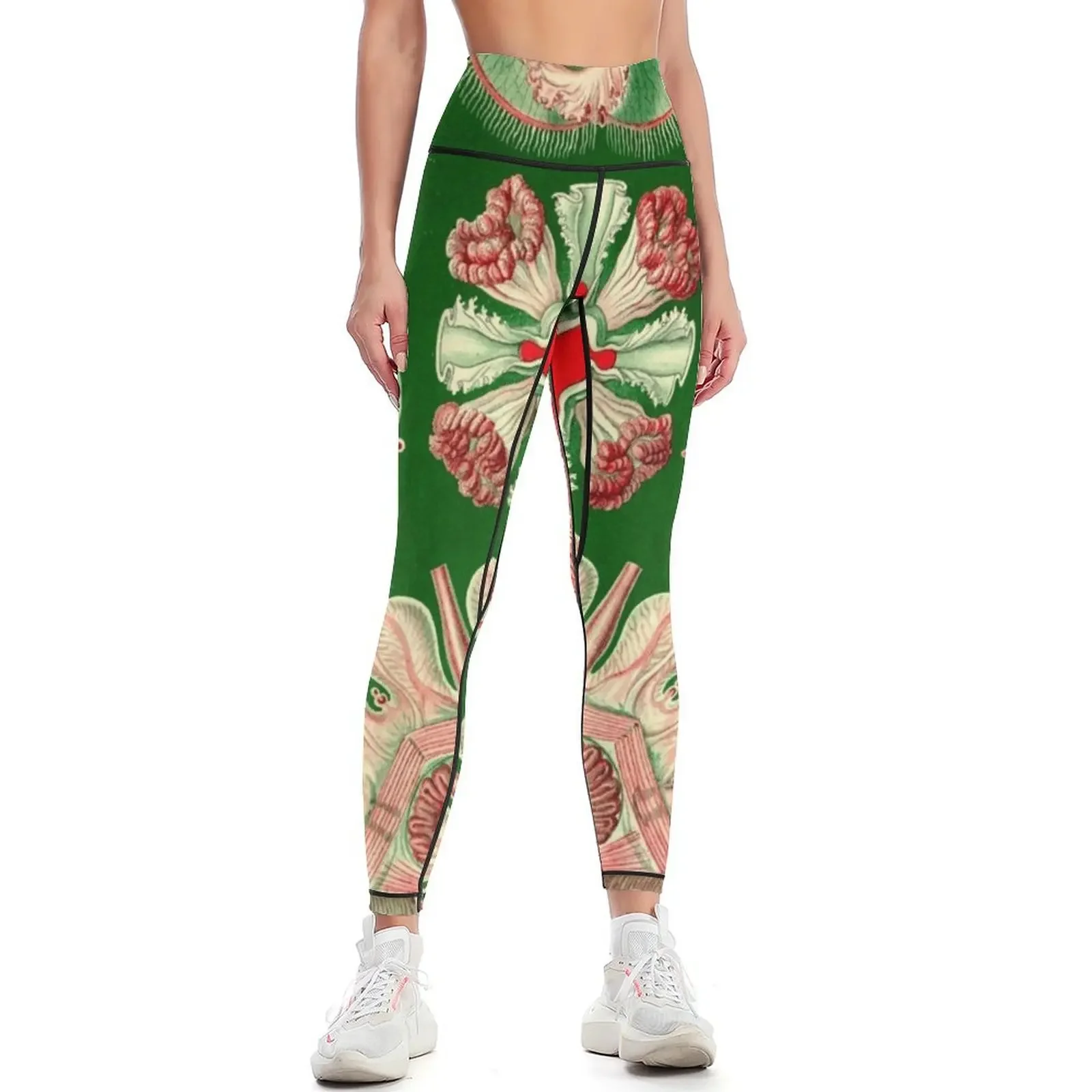 

Discomedusae -Ernst Haeckel Leggings Women's gym Leginsy push up gym wear gym's clothing Womens Leggings