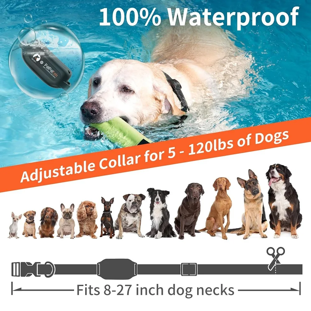 Thumbnail 3 - #47 Top 50 Puppy Training Collars Worth Buying In 2026