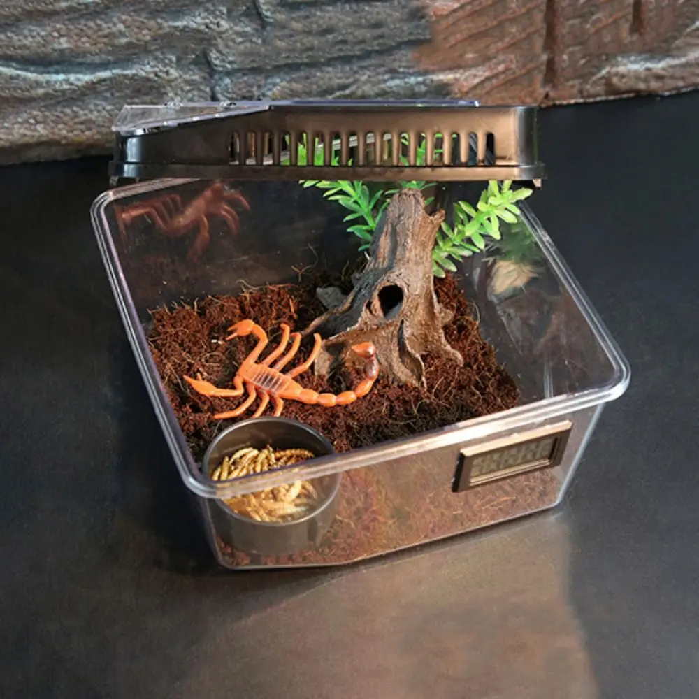 Spider Reptile Terrarium Tank Plastic Reptile Breeding Box Terrarium Cage Insect Viewing Box For Spider Lizard Snail Tarantulas