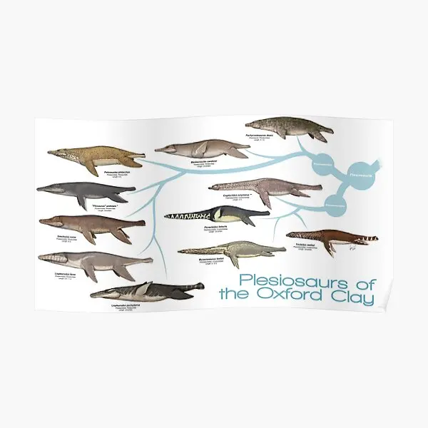 Plesiosaurs Of The Oxford Clay Uk  Poster Decoration Wall Painting Room Modern Mural Decor Vintage Home Print Art No Frame