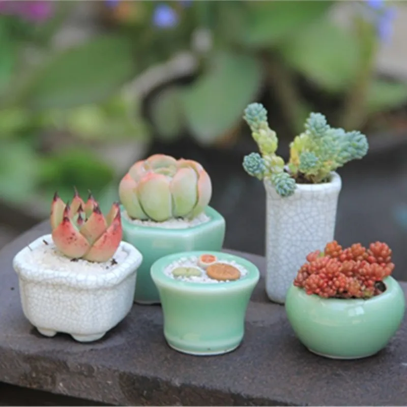 Micro Root Control Crack Basin Celadon Style Split Thumb Basin Mini Bean Pot Retro Simple Succulent Micro Plants Flowerpot ZC534
