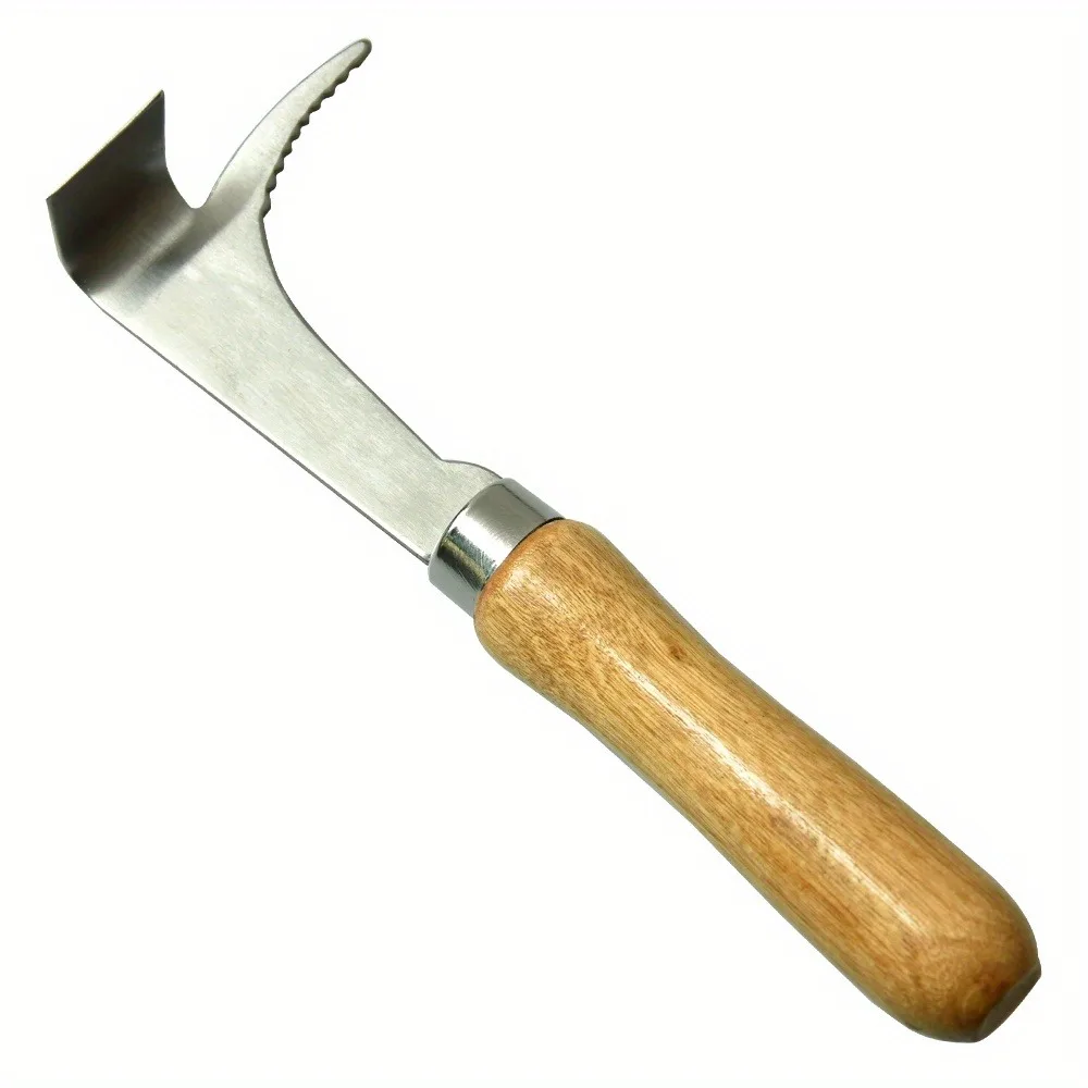 1 つ、ハニカムツールスクレーパー、ステンレス鋼養蜂機器用品、蜂の木のハンドル