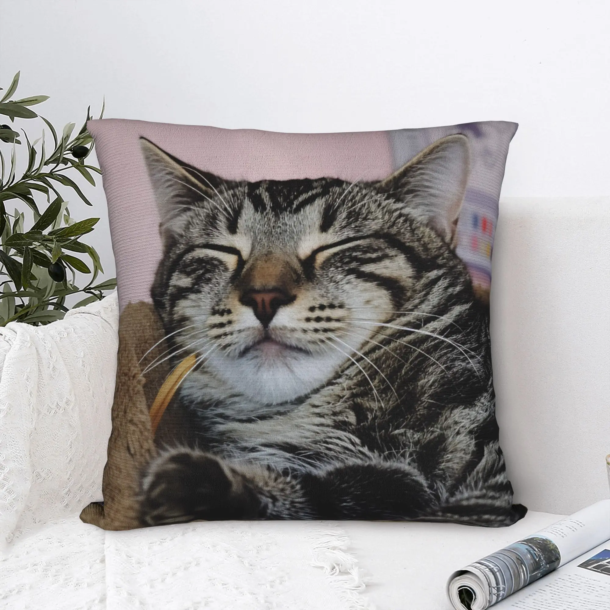 Cat Nap Artistic Design Pillow Case  Kawaii Pillow Cover Comfy Pillowcases For Sofa Home Decor