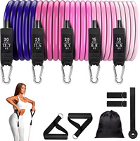 5 Levels Heavy Duty Adjustable Gym Fitness Workout Elastic 11pcs Latex Resistance Bands Tube Set