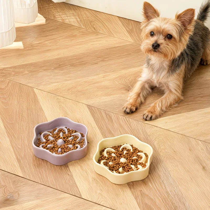 Thumbnail 3 - #35 Latest Pet Bowl Stands Offers