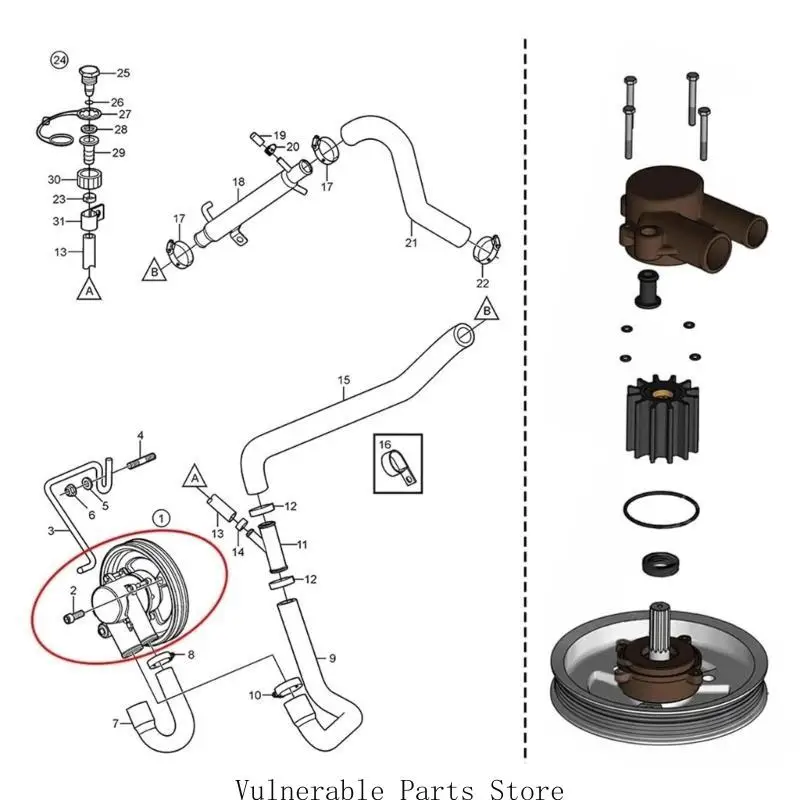 

Impeller Seal Water Pump Maintenance Set 21212799 3812519 for Marine Engines Long Lasting Use 21212801 21255090 21213664