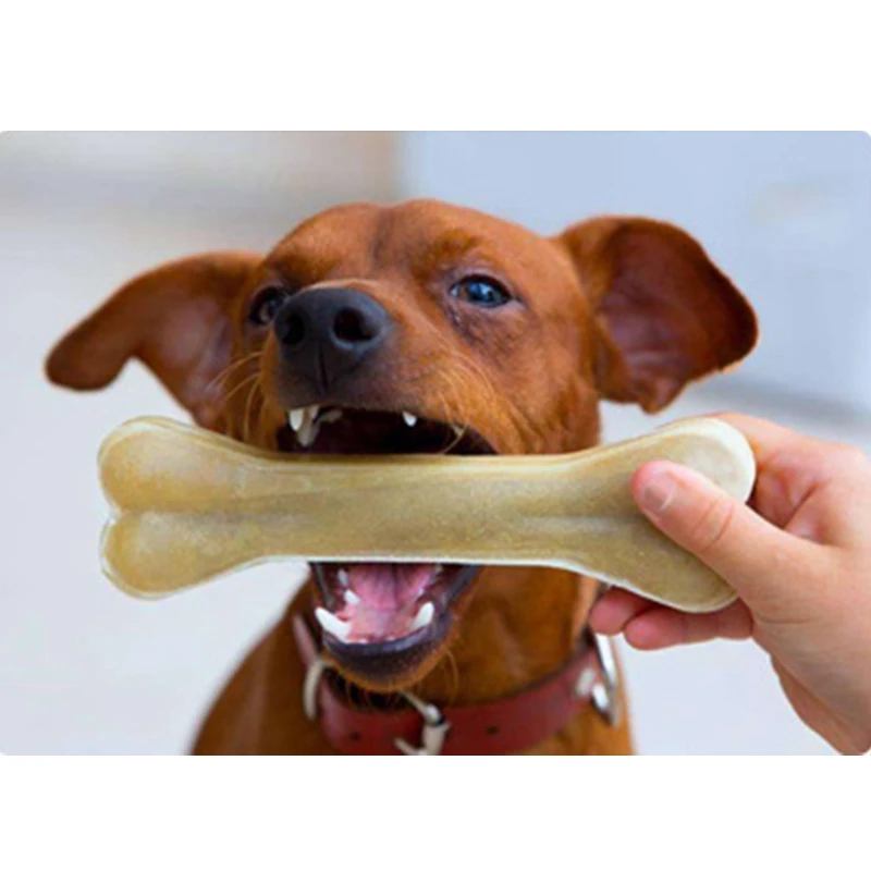 New Dog Bones mastica giocattoli forniture pelle pelle bovina osso denti molari bastone pulito cibo tratta cani ossa per accessori per cuccioli