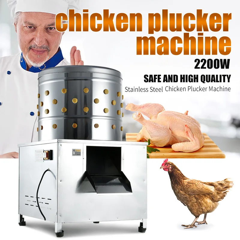 OLumeuse a Poulet a Vendre Deplumeuse De Poulet Feather Removal Cleaning Wet Plucking Processing Quail Defeatherin Machine
