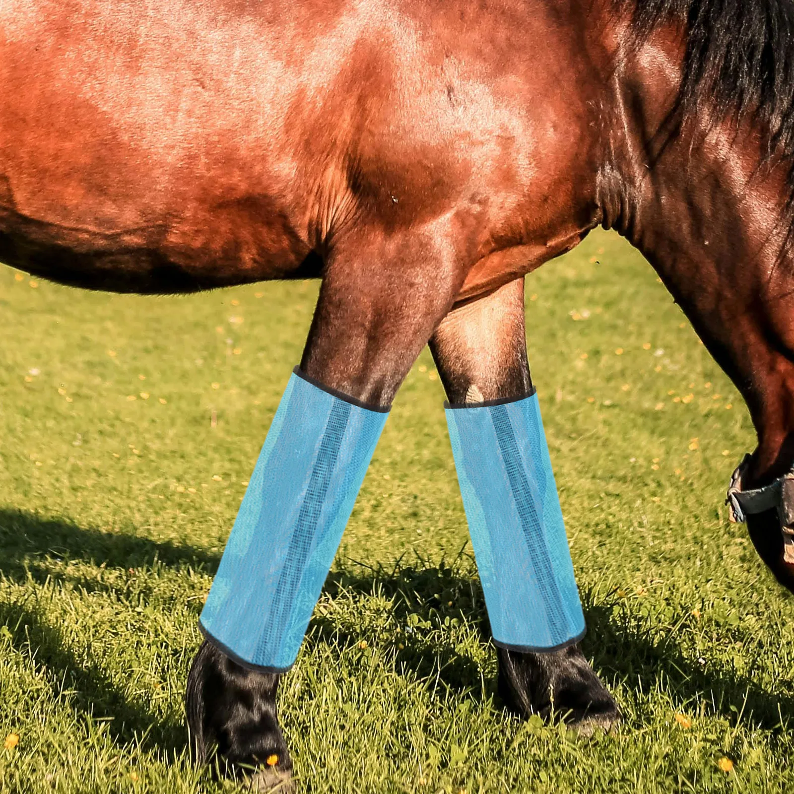 

4Pcs High-Quality Mesh Fly Boots Breathable Horse Leg Protection Net Cover for Optimal Comfort