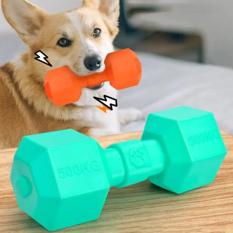 TPR Dumbbell Dog Toy Pet Nibbling Training Squeaky Toy for Playing and Interacting with Dogs Puppy Grinding Teeth Cleaning Stick