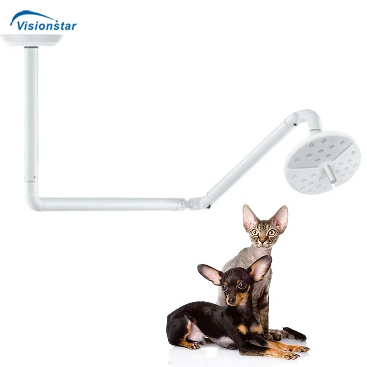 Medical Surgical Light Multi-functional Lamp 36W LED Veterinary Operating Room Light