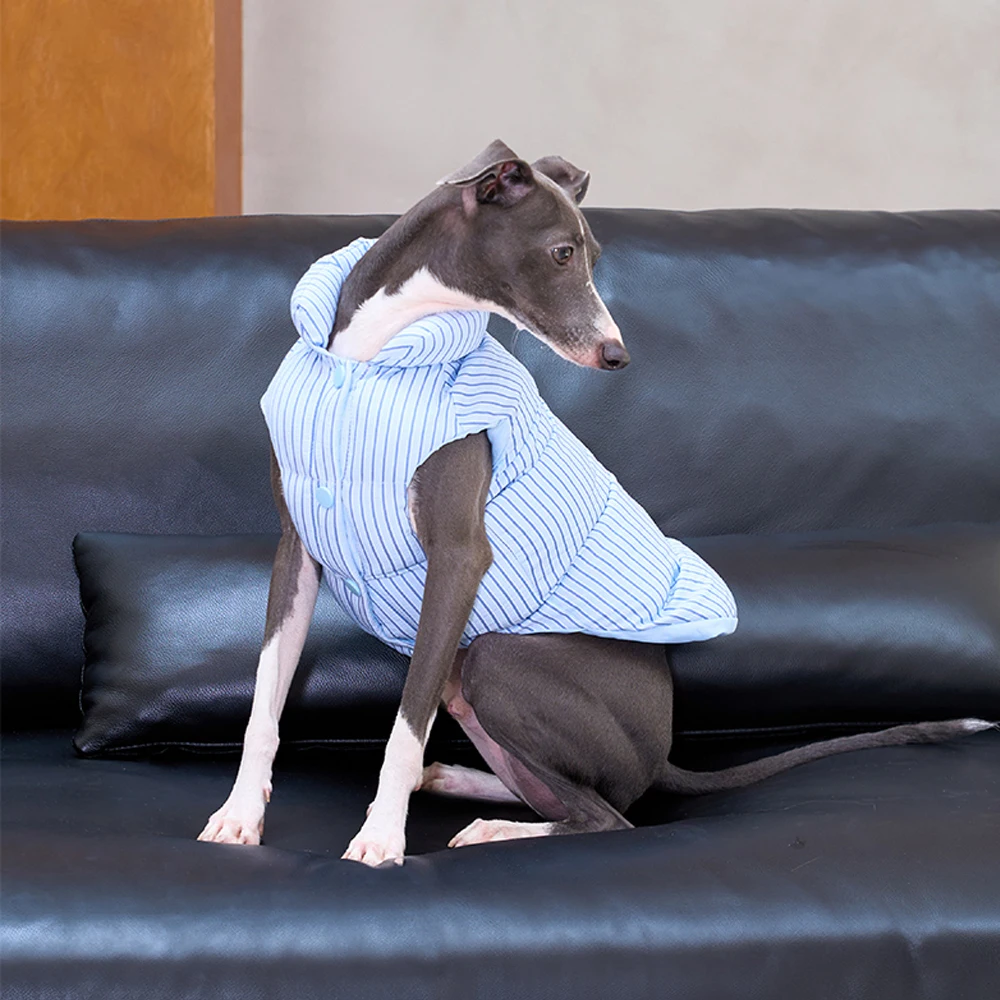 Winterwarmer Daunenmantel zum schnellen Abziehen für italienischen Windhund, winddichte Streifen-Reißverschlussjacke für kleine Whippet-Hunde im Herbst – Detail 6