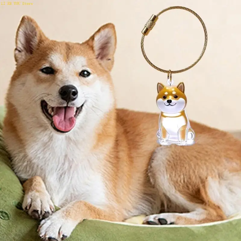 W3JE Dog Hair Memorial Box Clear Clean Display Box