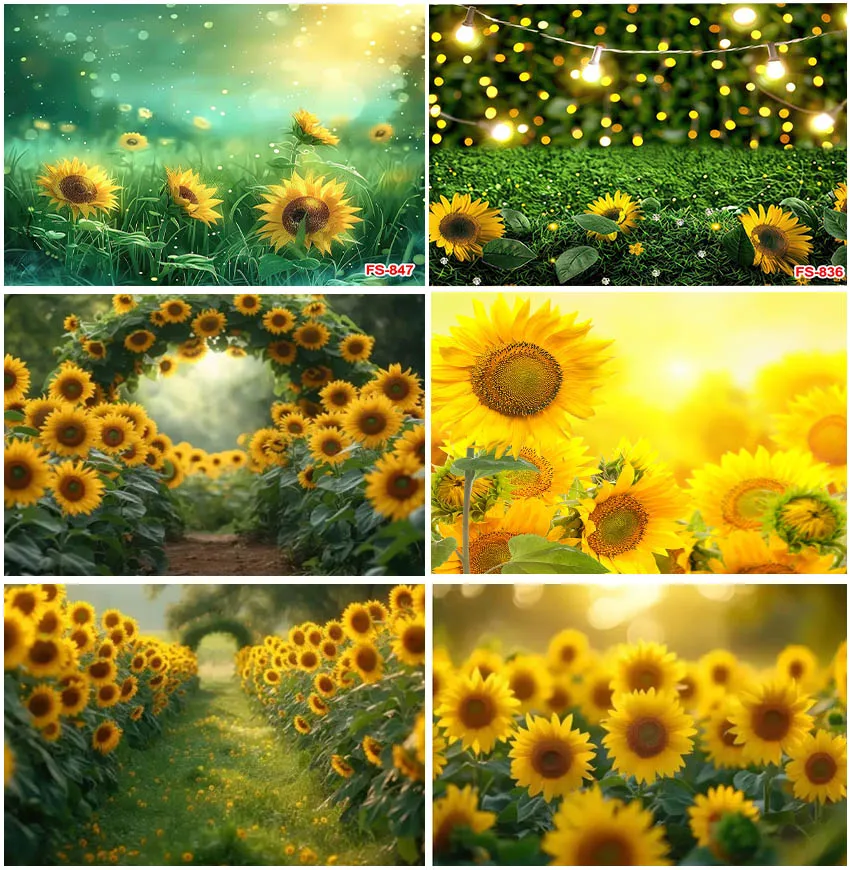 Sunshine Summer Countryside Yellow Sunflowers Leaf Landscape Shiny Light Bokeh Photographic Backdrops Natural Backgrounds Props