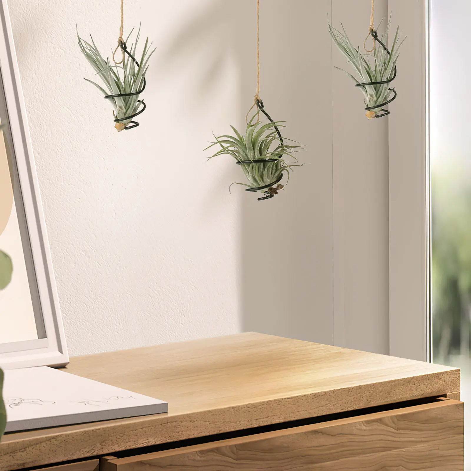 12 Set Decor Aerial Plant Stand Holder Hanging Plants Holders Black Bromeliad Adjustable Tillandsia Rings