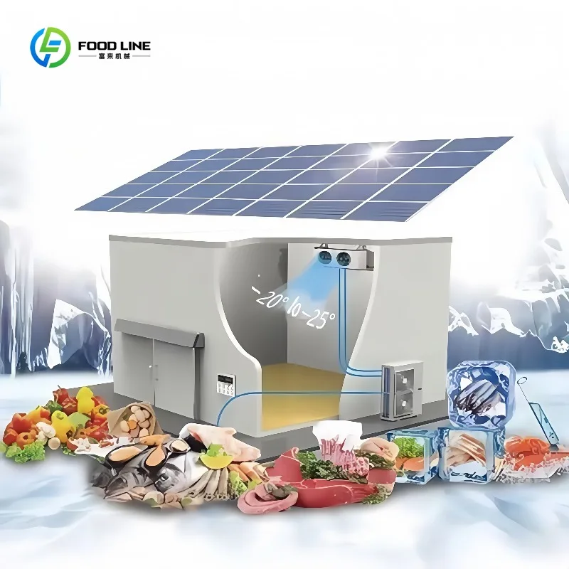 20ft Cold Storage Freezer Container Efficient Cold Room for Quick Frozen Products Custom