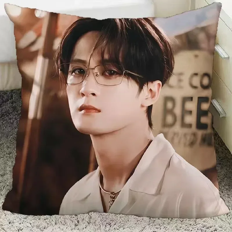 Tan Jianci Poster Double-sided Printed Pillowcase TV Lost You Forever Xiang Liu Fang Fengbei Photos Home Car Decor Cushion Cover