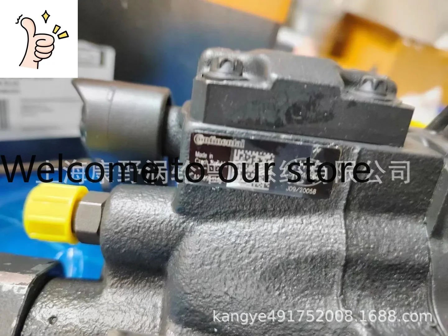 A Suitable For Fuel Pump A2C59513595 A2C59513494 A2C53252602 5WS40565