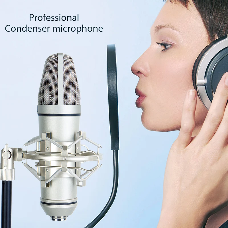 OEM Professional Large Diaphragm Metal Wired Singing Condenser Microphone For Studio Recording