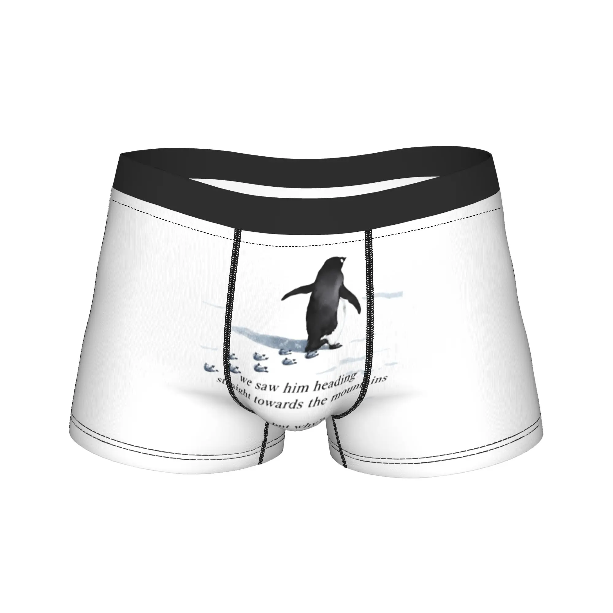 

Nihilist Penguin But Why meme Underwear Customs Boxershorts Hot Sale Men's Underpants Comfortable Boxer Brief Birthday Gift